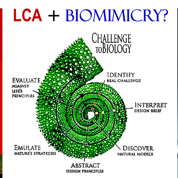 LCA and Biomimicry diagram